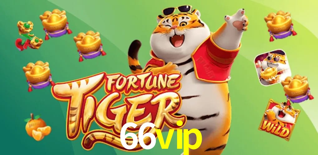 Experiência VIP 66vip
